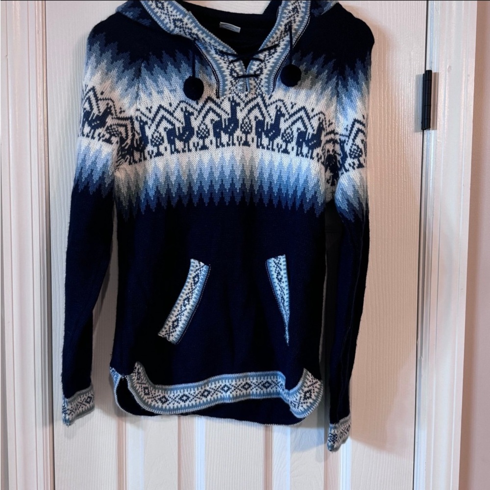 🦙 Alpaca Hooded Sweater 🦙